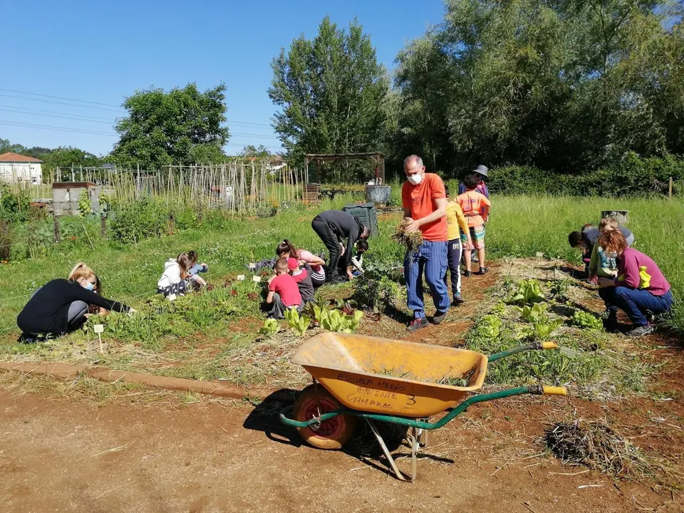 Taller de agricultura en las huertas municipales