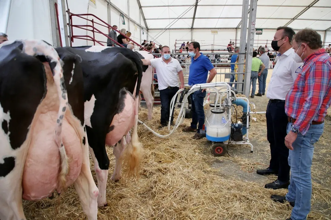 Feria Fris&oacute;n 2021 en Trece&ntilde;o.