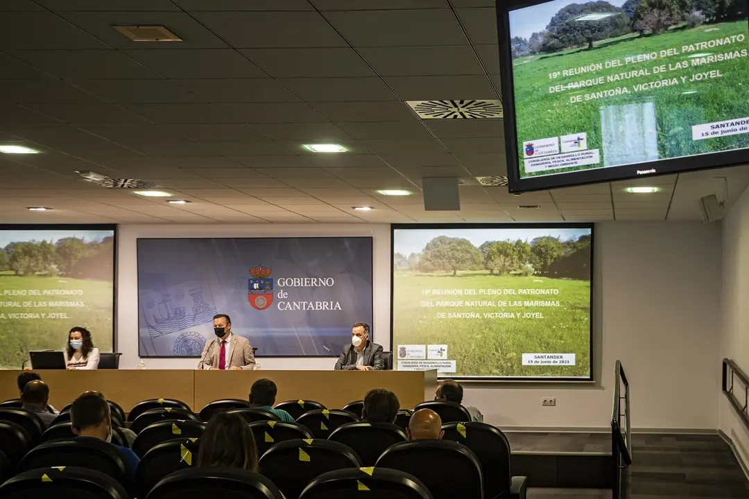 Elconsejero de Desarrollo Rural, Ganader&iacute;a, Pesca, Alimentaci&oacute;n y Medio Ambiente,Guillermo Blanco, preside elpatronato del Parque Natural de las Marismas de Santo&ntilde;a, Victoria y Joyel.