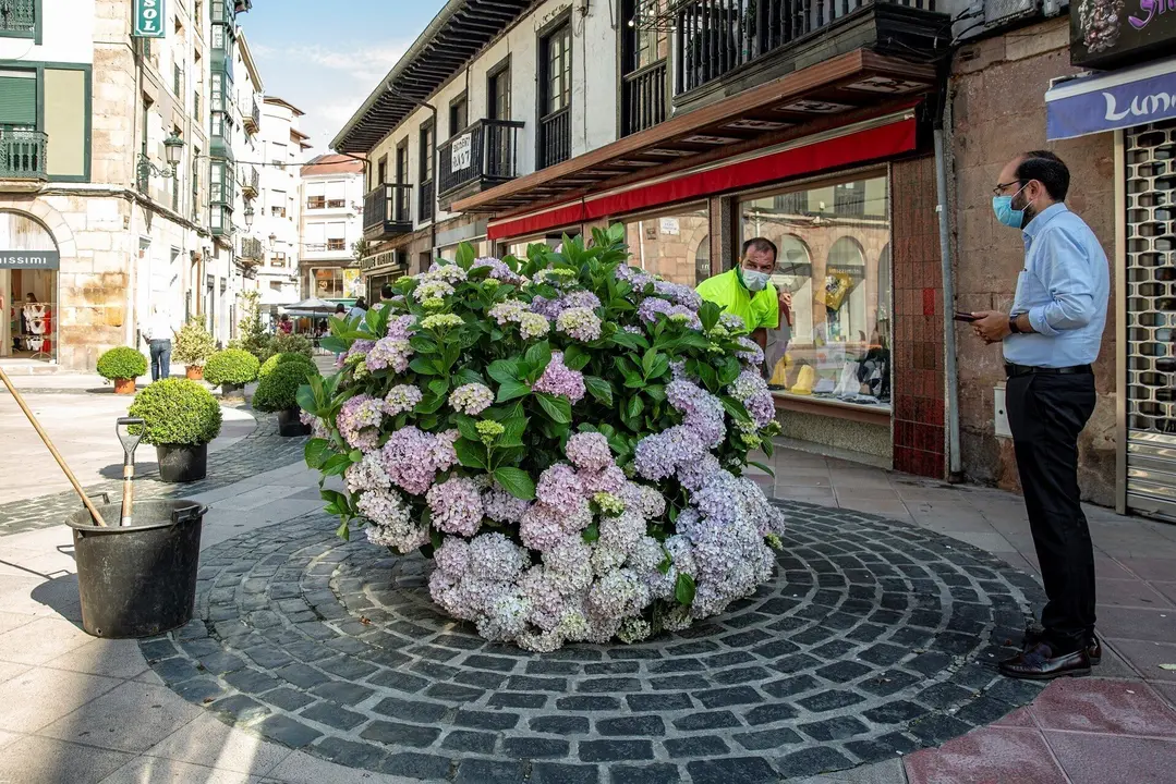 Calles decoradas con plantas por el Concurso de Jardines