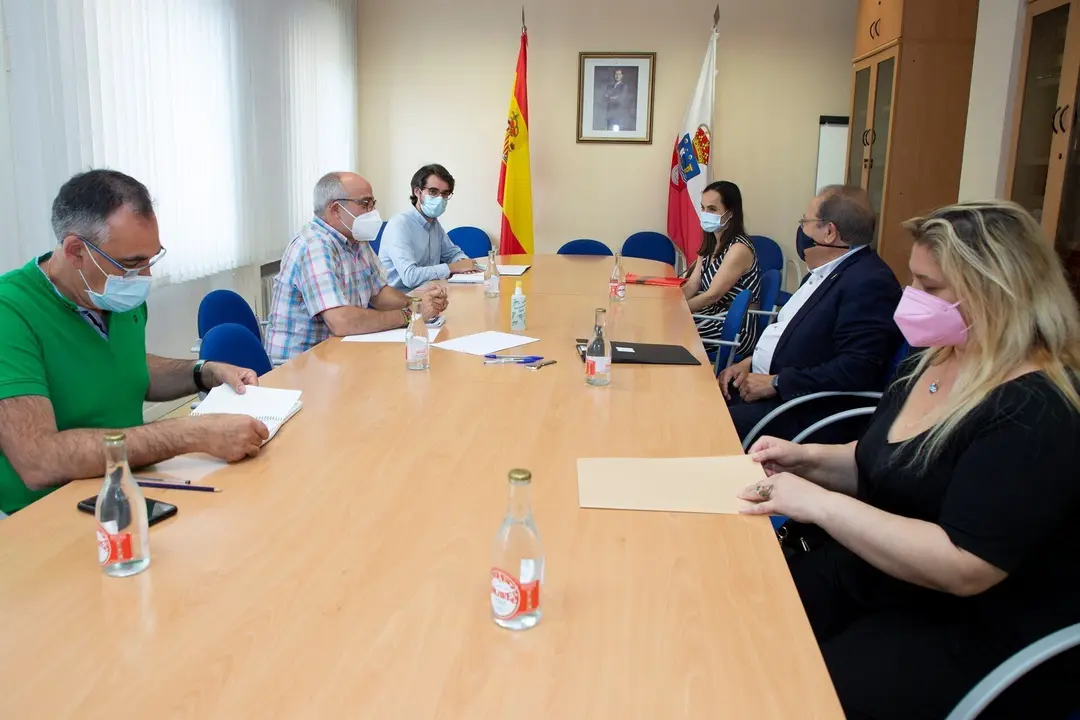 El consejero de Sanidad, Miguel Rodr&iacute;guez, recibe al presidente de la Plataforma Roman&eacute;s de Cantabria, Alfredo Vargas.