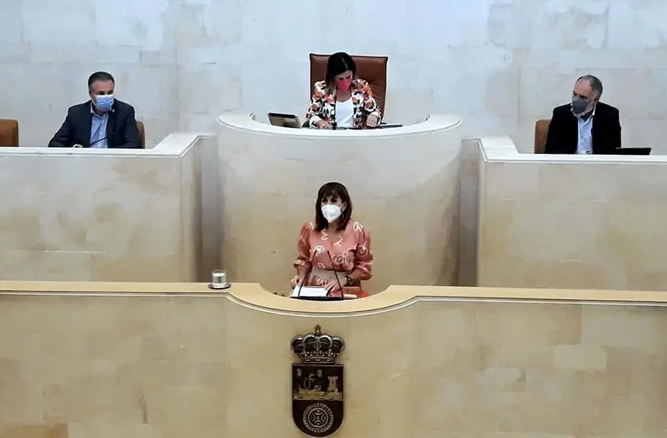 La consejera de Empleo y Pol&iacute;ticas Sociales, Ana Bel&eacute;n &Aacute;lvarez