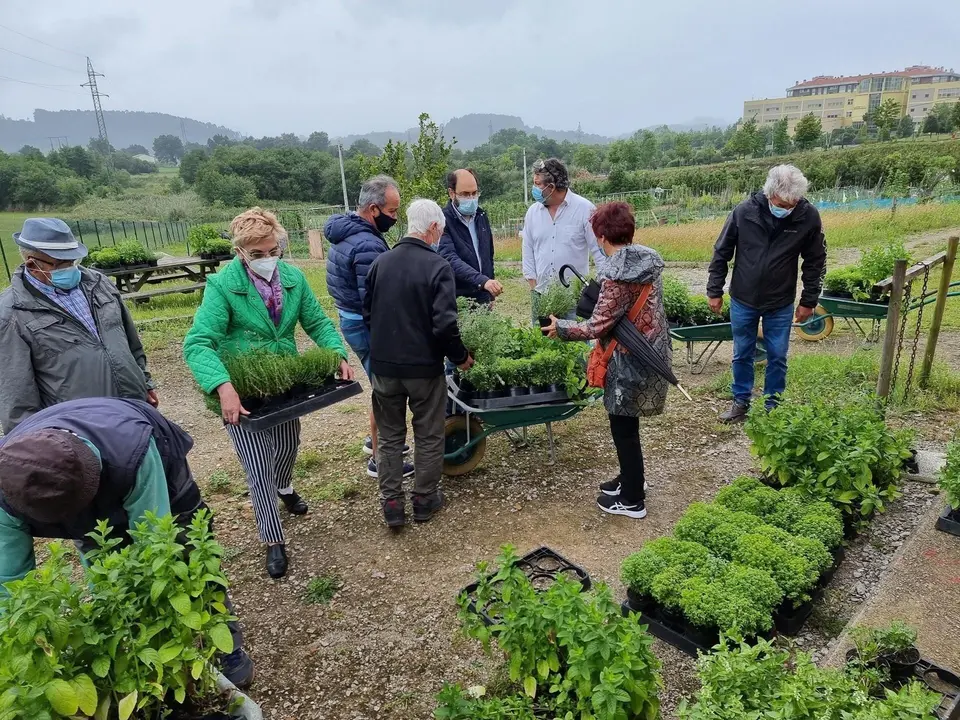 Reparto de plantas a los usuarios de huertos sostenibles