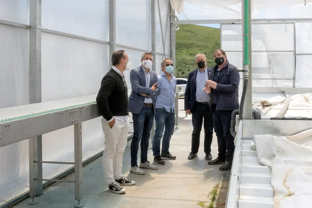 El Vicepresidente Y Consejero De Universidades, Igualdad, Cultura Y Deporte, Pablo Zuloaga, Visita Una Empresa De Cultivos De Invernadero Del Municipio.