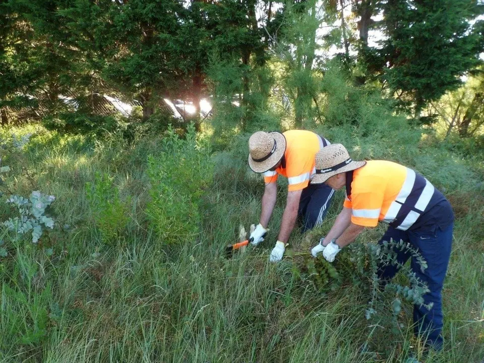 Archivo - Noja contratar&aacute; a m&aacute;s de 30 desempleados a trav&eacute;s del programa de Corporaciones Locales
