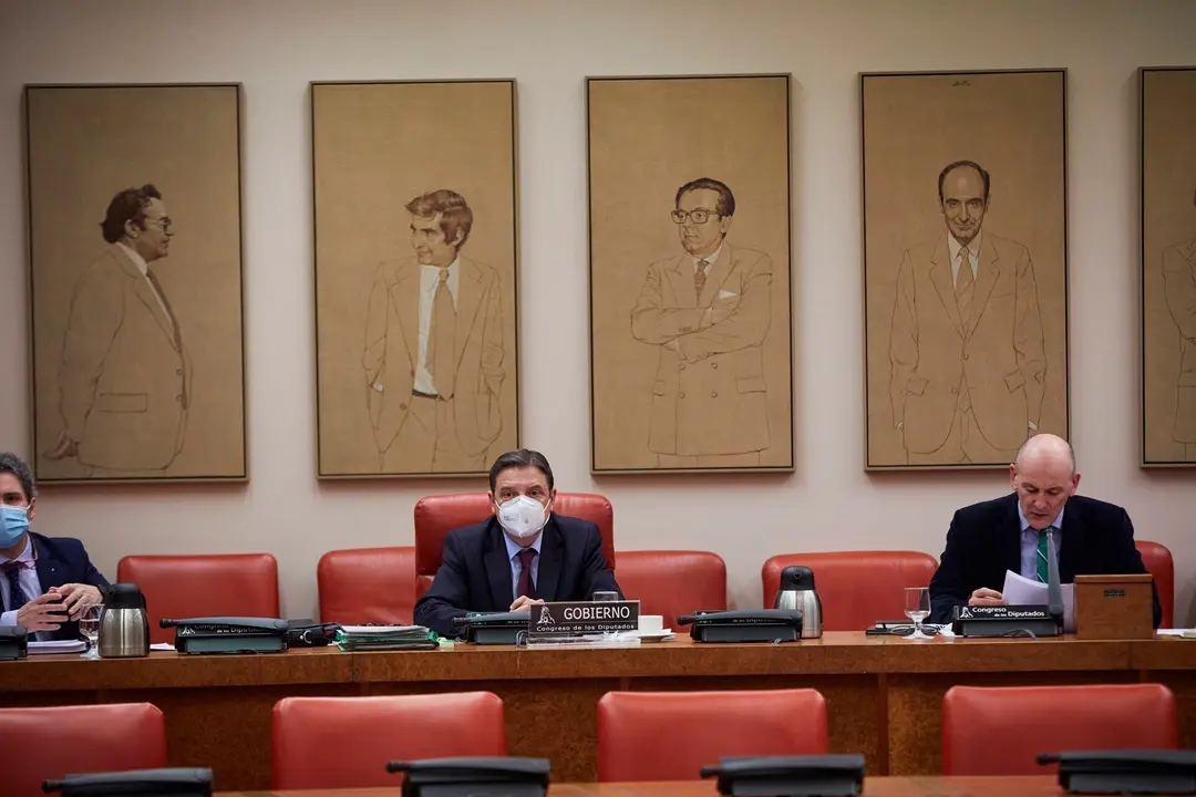 Archivo - El Ministro de Agricultura, Pesca y Alimentaci&oacute;n, Luis Planas (c), en una comparecencia en el Congreso