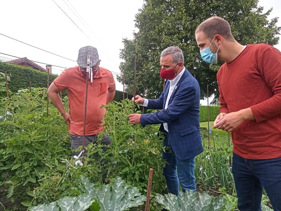 Premio al mejor productor de tomate Calidad Controlada