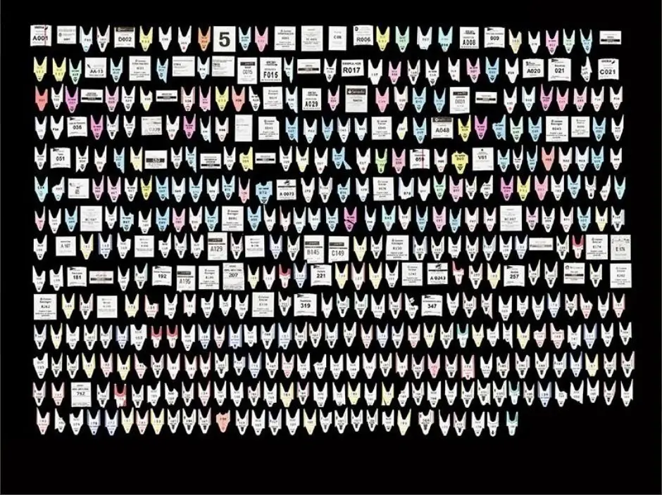 Archivo - Trabajo de la exposici&oacute;n 'Contar o contar'