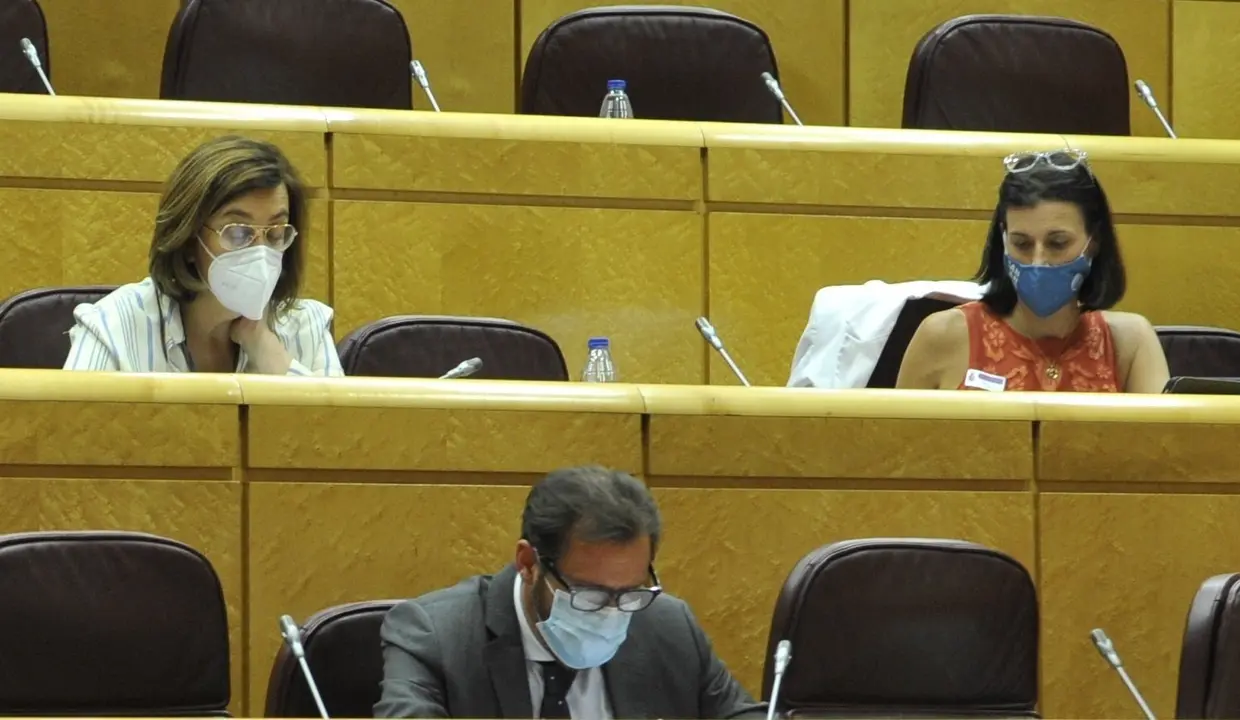 Gema Igual en el Pleno de la Comisi&oacute;n Nacional de Administraci&oacute;n Local