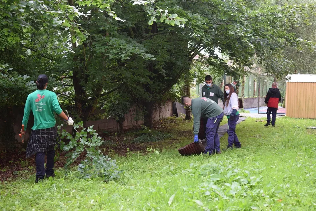 Alumnos de la escuela taller de Pi&eacute;lagos crean nuevas zonas verdes en el colegio Virgen de Valencia