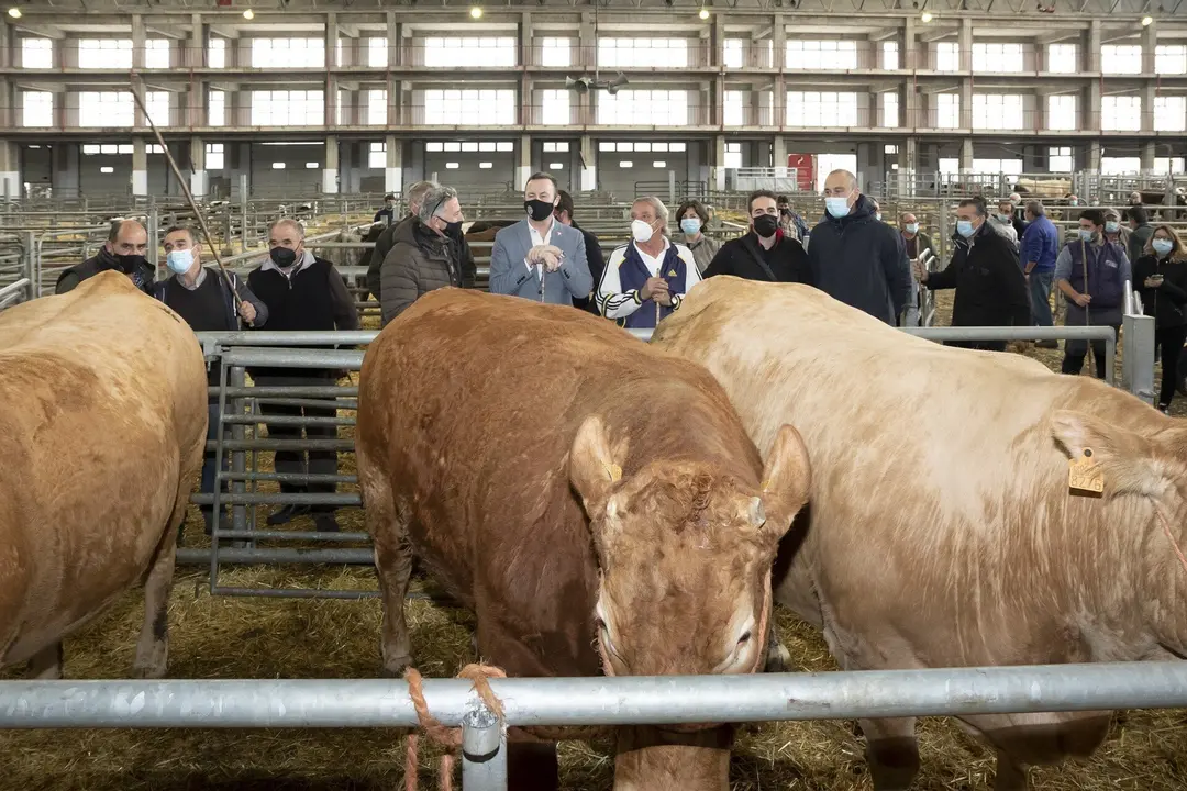 Archivo - El consejero d