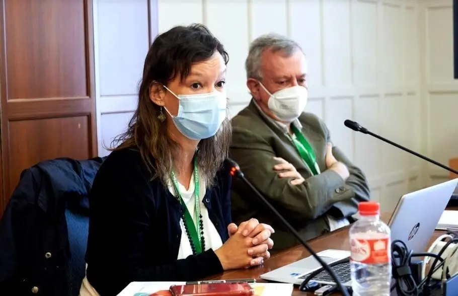 Archivo - Leire Paj&iacute;n interviene en un curso de la UIMP