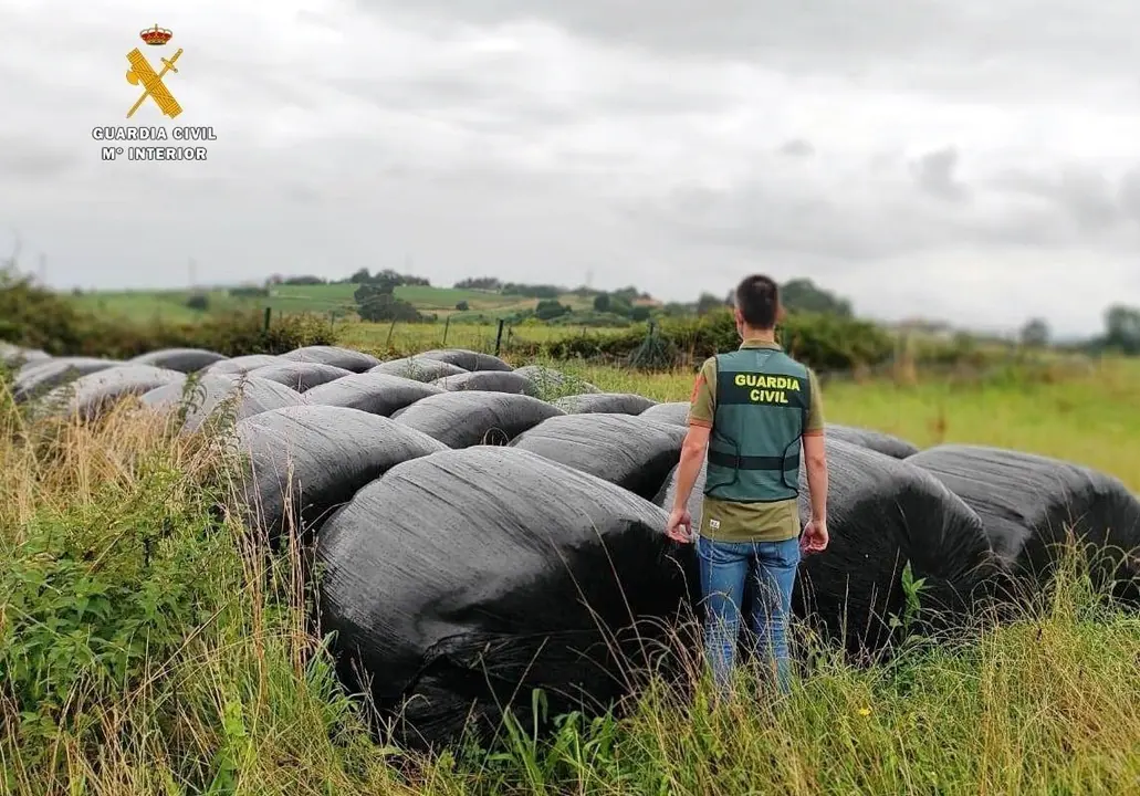Seis detenidos por el robo de film de ensilar