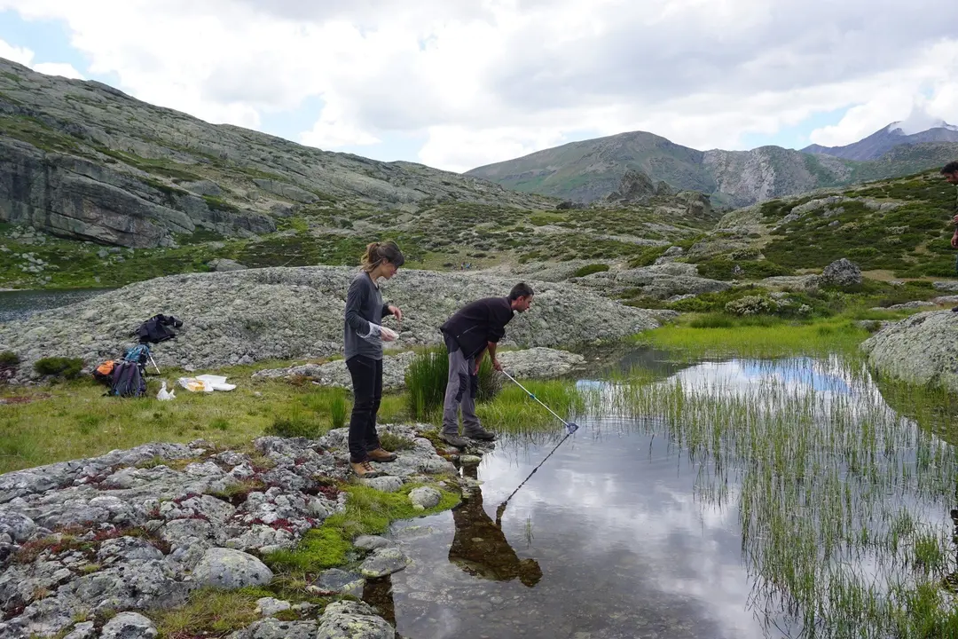 Desarrollo de los trabajos del proyecto 'BsAlert'.