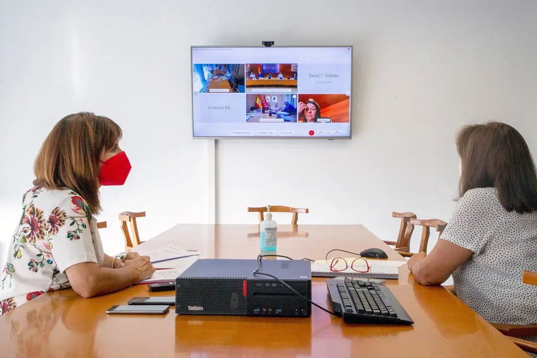 La Consejera De Empleo Y Pol&iacute;ticas Sociales, Ana Bel&eacute;n &Aacute;lvarez (Izda), Participa Por Videoconferencia En El Consejo Territorial De Servicios Ssociales Y Del Sistema Para La Autonom&iacute;a Y Atenci&oacute;n A La Dependencia