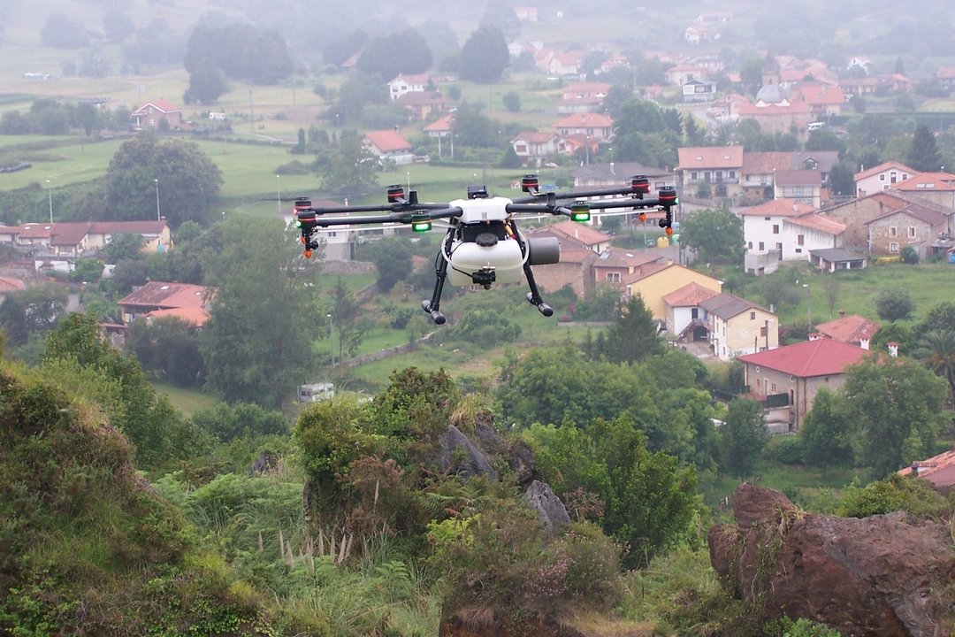 Archivo - Servicio de drones para aplicación de productos fitosanitarios en Cabárceno para control de plumeros.