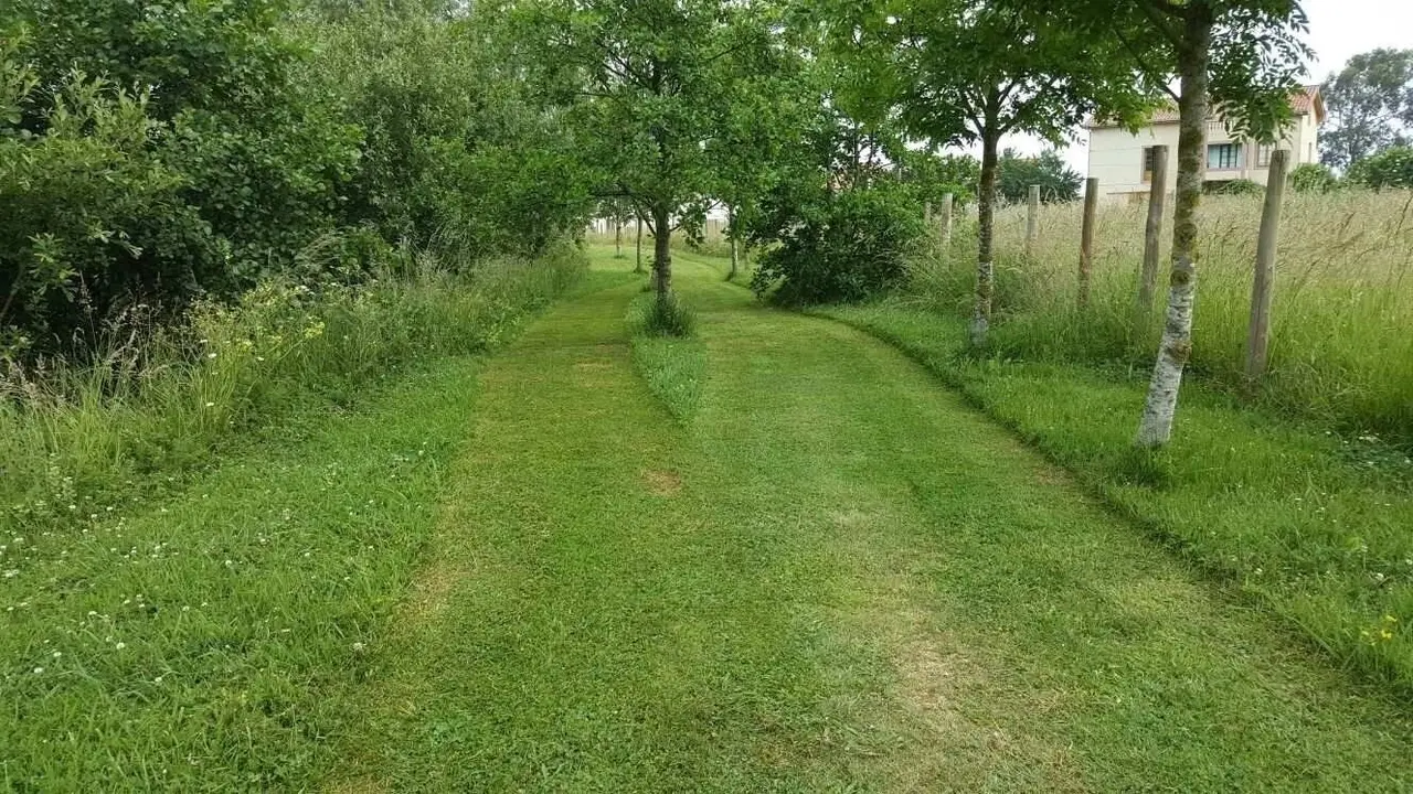 Paseo verde El Ronz&oacute;n-La Caloquera