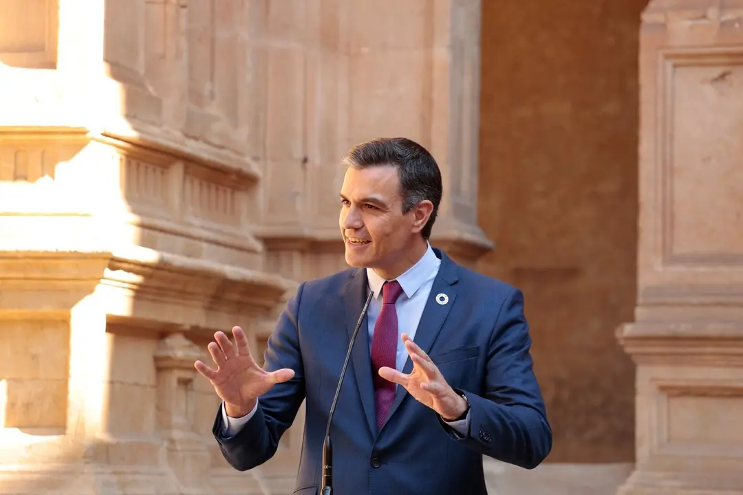 El presidente del Gobierno, Pedro S&aacute;nchez,