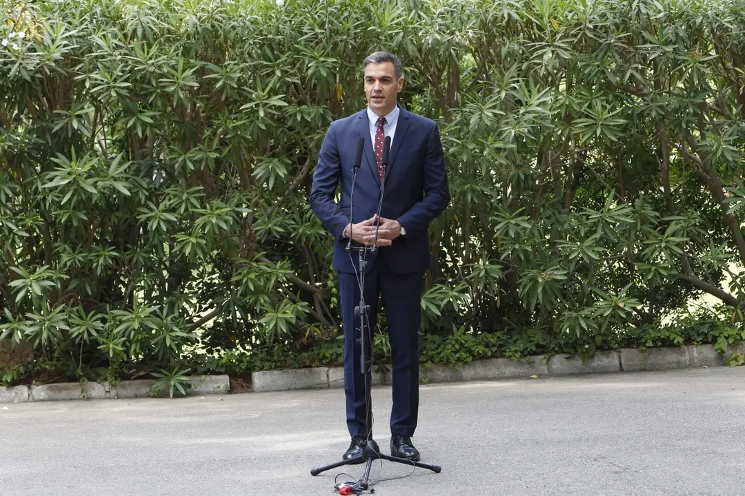 El presidente del Gobierno, Pedro S&aacute;nchez.
