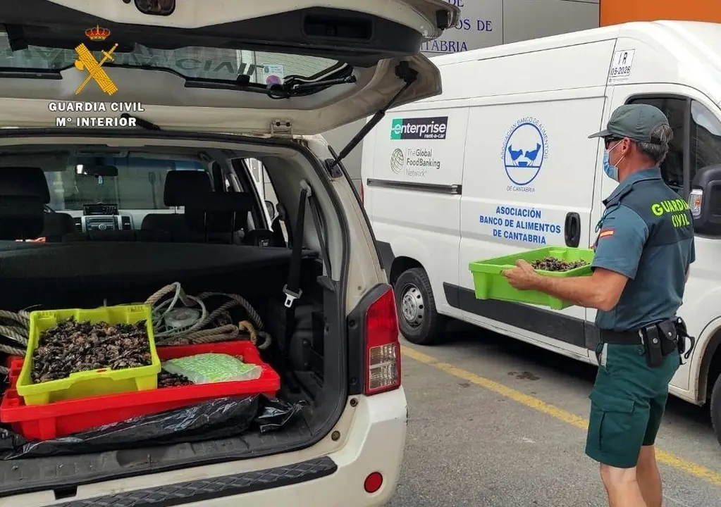 Entrega al Banco de Alimentos de percebes intervenidos por la Guardia Civil