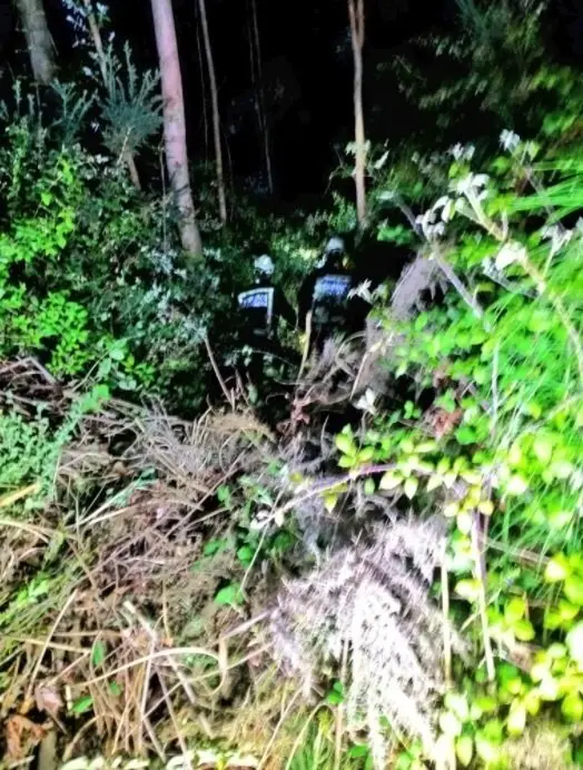 Archivo - Rescate a dos hombres atrapados en un zarzal