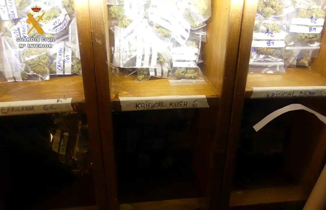 Marihuana intervenida en la asociaci&oacute;n cann&aacute;bica