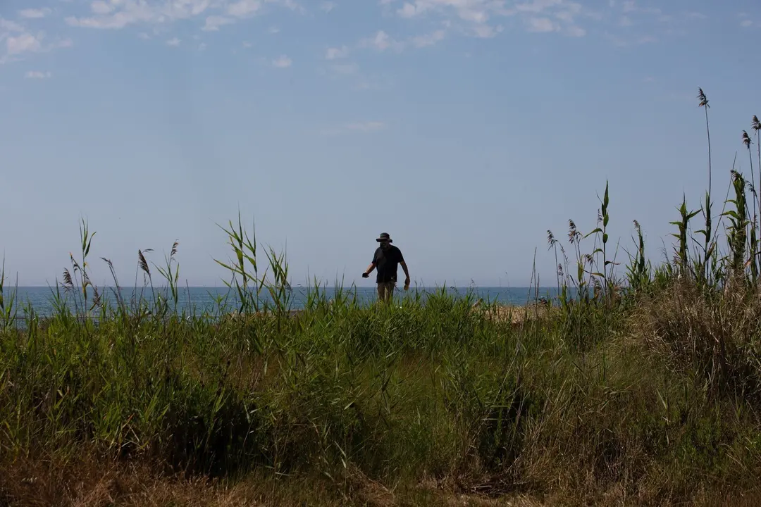 Archivo - Un hombre camina por el espacio protegido natural de La Ricarda, a 9 de junio de 2021, en El Prat de Llobregat, Barcelona, Catalu&ntilde;a (Espa&ntilde;a). 