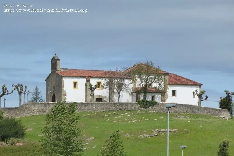 Santuario de la Virgen del Monte