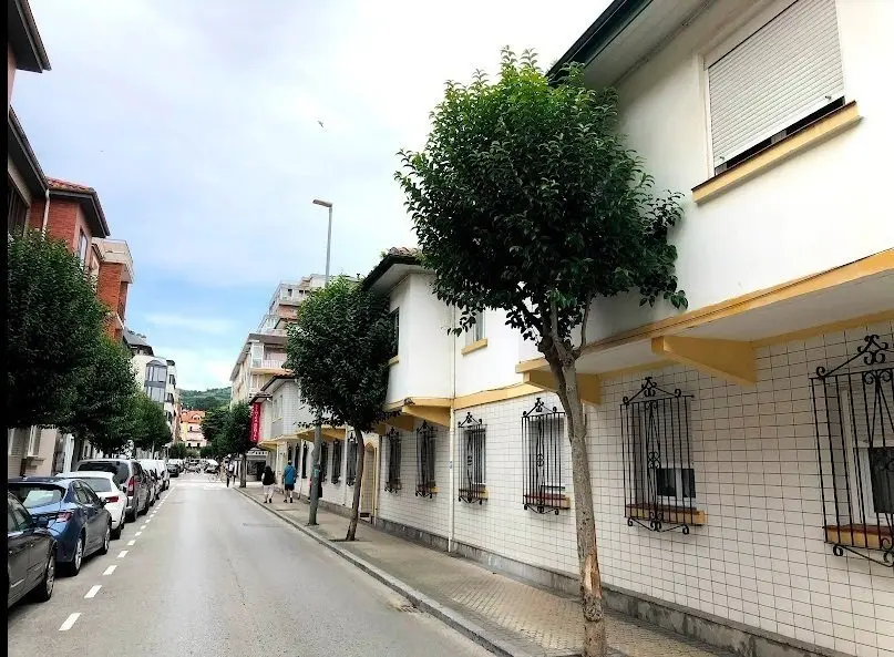 &Aacute;rboles Invadiendo Las Casas De Los Vecinos.