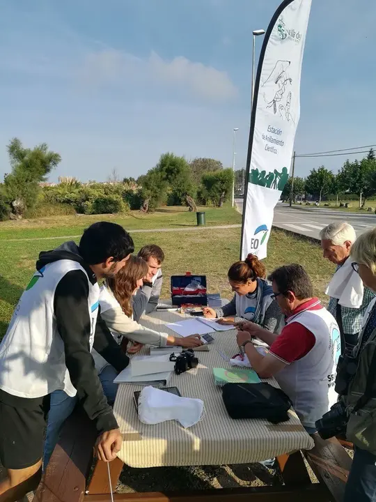 Anteriores ediciones de la campa&ntilde;a de anillamiento cient&iacute;fico de aves en la Marisma Victoria de Noja