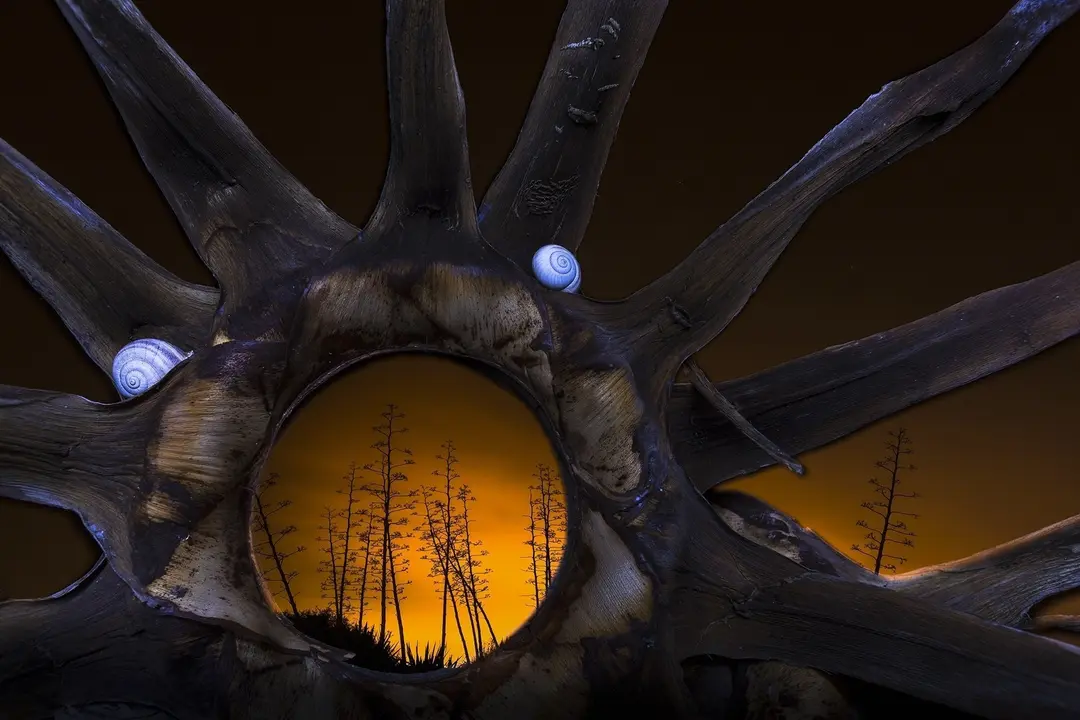 Archivo - Noja.- 'Un sol de medianoche', de Juan Jes&uacute;s Gonz&aacute;lez, gana la IV edici&oacute;n de Fotonoja