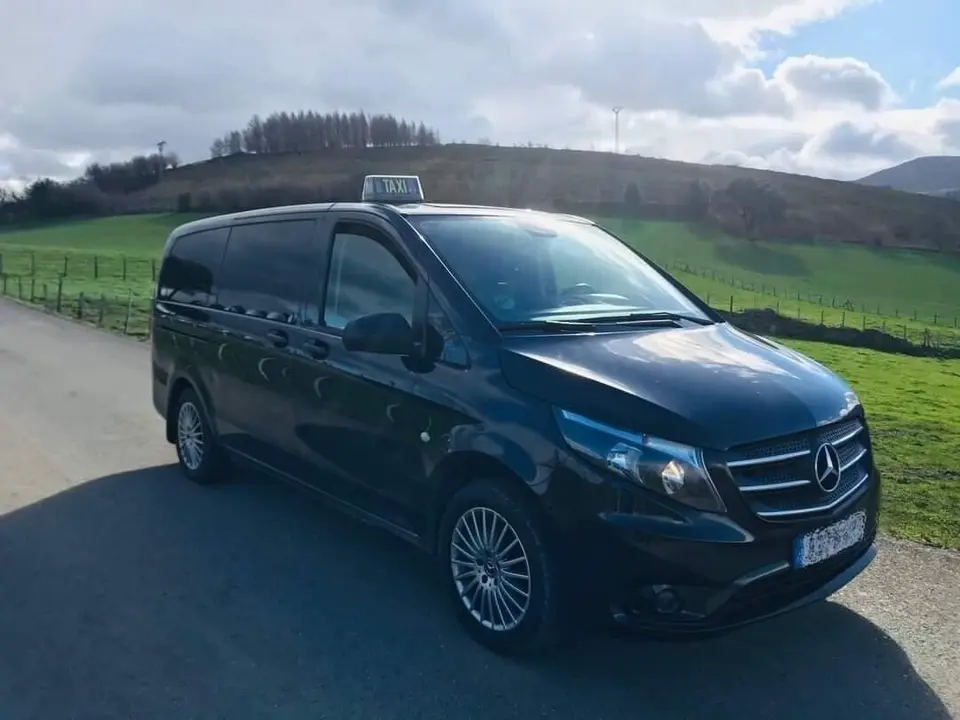 Veh&iacute;culo del taxista sancionado