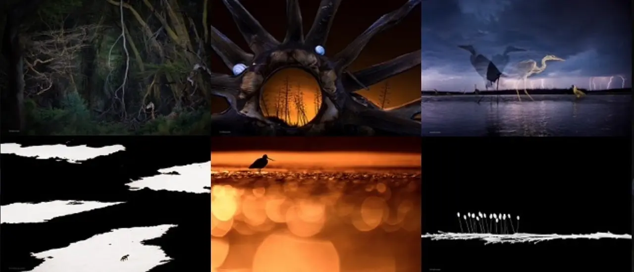 Ganadores Fotonoja 2020