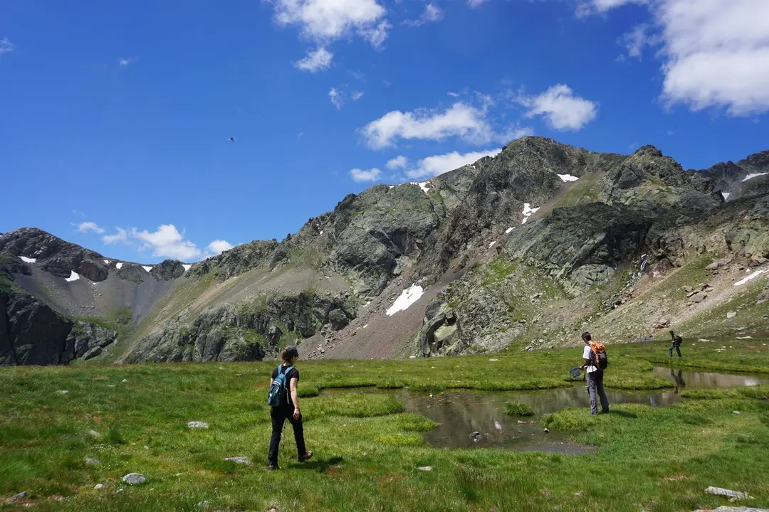 Muestreo dentro del proyecto BsAlert