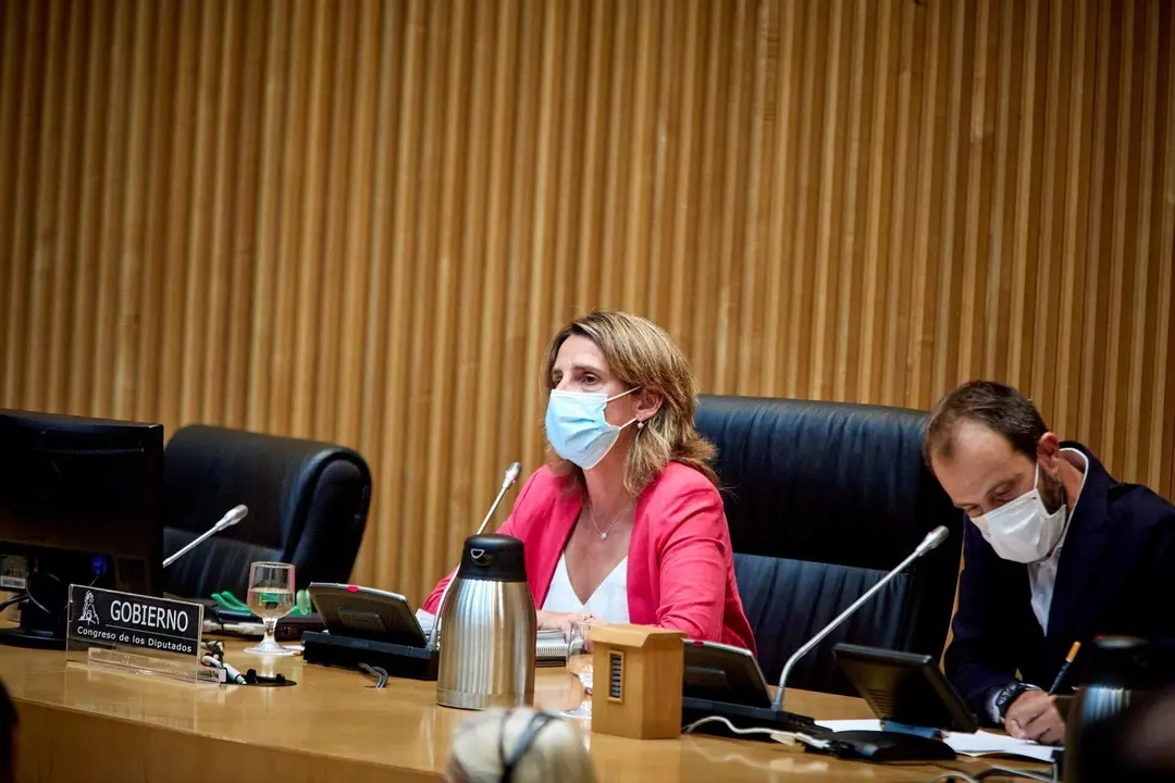 La ministra de Transici&oacute;n Ecol&oacute;gica y Reto Demogr&aacute;fico, Teresa Ribera, preside una Comisi&oacute;n de Transici&oacute;n Ecol&oacute;gica y Reto Demogr&aacute;fico del Congreso