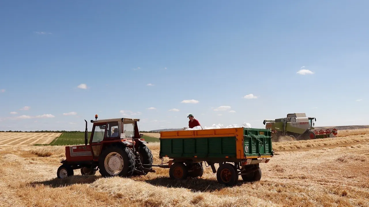 Archivo - Agricultor en el campo  