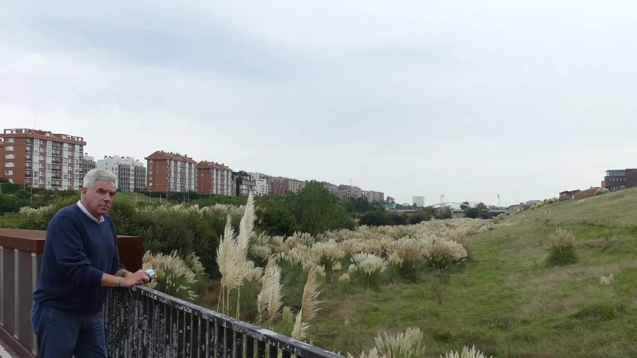 Fuentes Pila, concejal del PRC de Santander, en una zona de plumeros de la ciudad