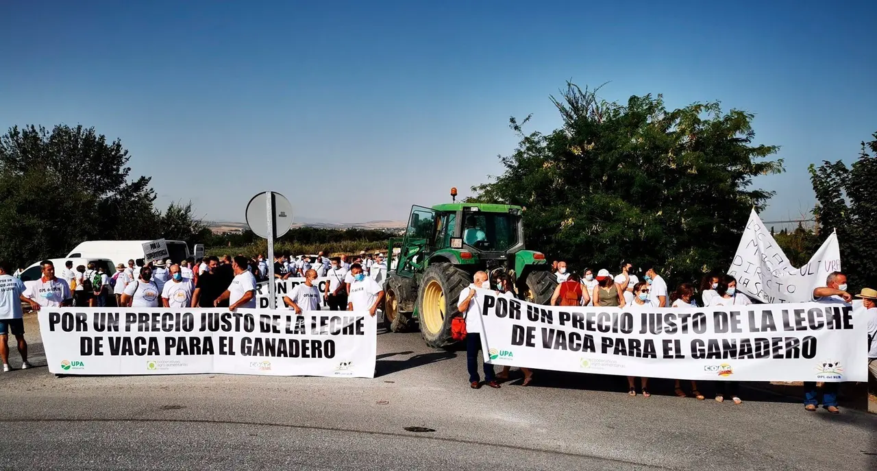 Manifestaci&oacute;n de ganaderos por los precios insuficientes de la leche