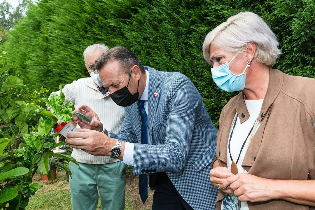 El consejero de Desarrollo Rural, Guillermo Blanco, y la alcaldesa de Polanco, Rosa D&iacute;az, asisten a la suelta experimental de ejemplares de un parasitoide para combatir la psila africana