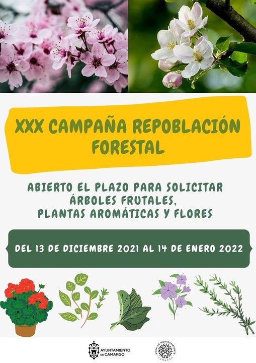 Camargo abrirá el lunes el plazo de solicitudes de árboles, plantas y flores  de la XX...
