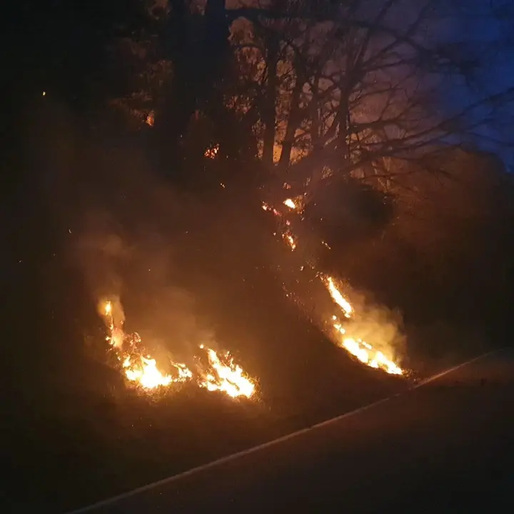 WhatsApp Image 2021-12-31 at 19.55.35