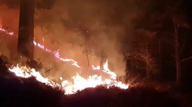 Captura de pantalla 2022-01-01 a las 11.23.12