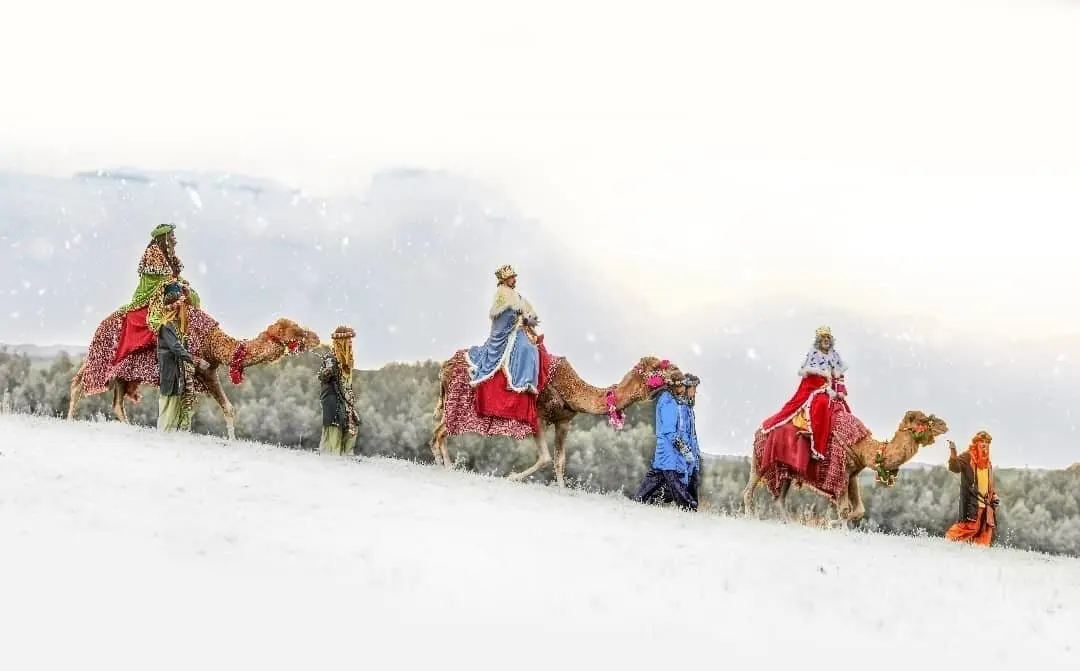 271135181_4701611056619363_7721075097182398739_n