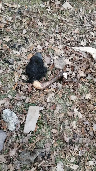 PHOTO-2022-01-03-14-50-31 3