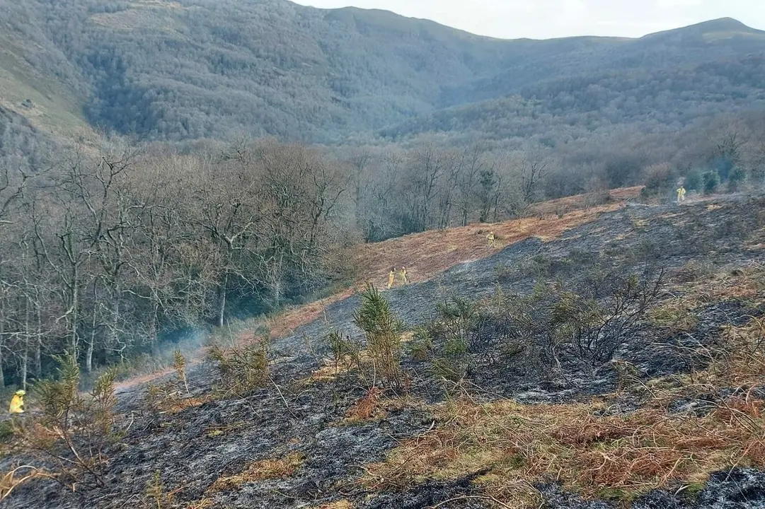  incendio provocado en el monte Canales de Sili&oacute;, en Molledo.  25 MARZO 2022 &copy; Oficina de comunicaci&oacute;n