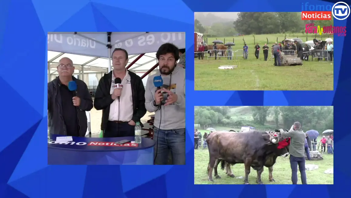 Captura de pantalla 2022-06-12 a las 17.58.48