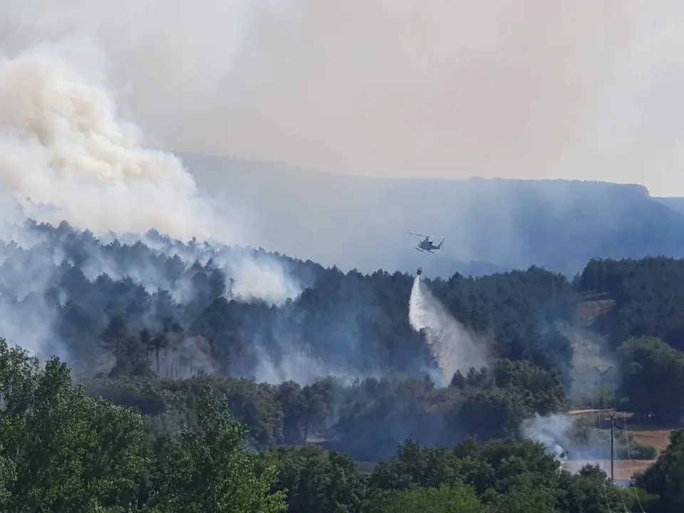 WhatsApp Image 2022-08-09 at 3.27.26 PM