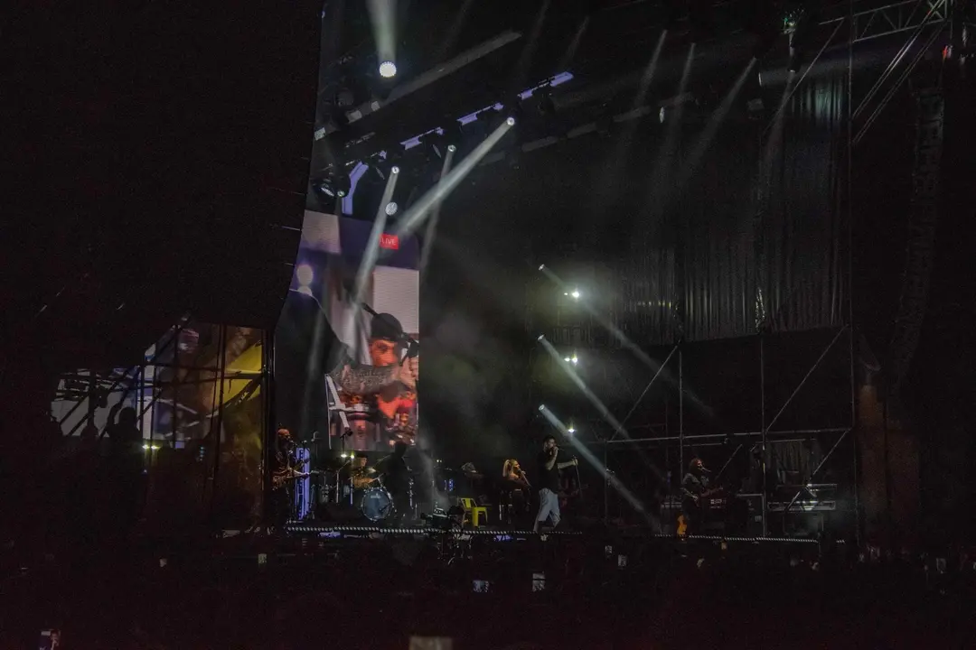 vive-la-feria-domingo179 (1)