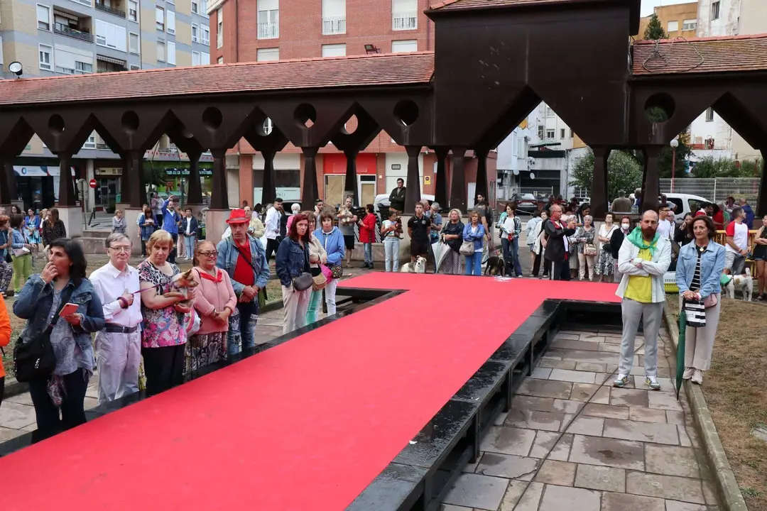 20220816194117_IMG_5956 (1)