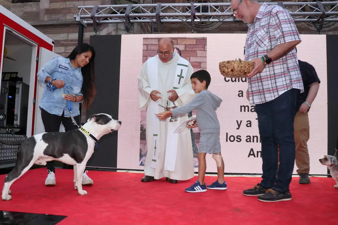 20220816195240_IMG_5979 (1)